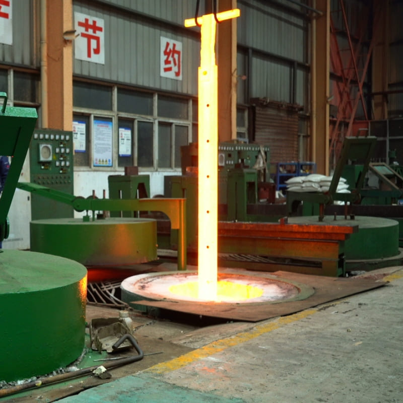 5_1706006729_WNo_800d800